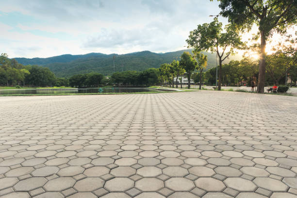 Best Decorative Driveway Pavers  in Bowman, ND