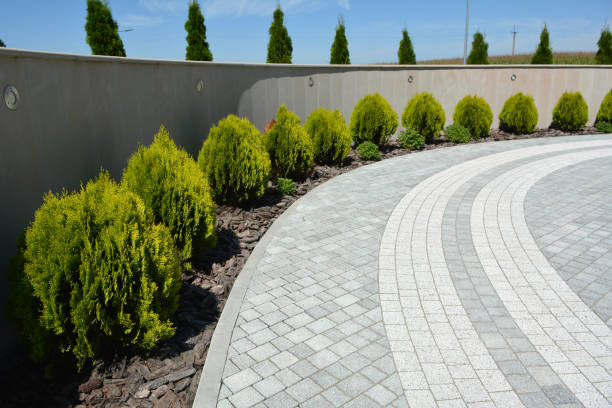 Best Residential Driveway Paver Services  in Bowman, ND